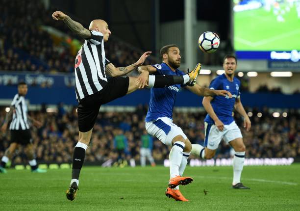 埃弗顿将有 埃弗顿将有